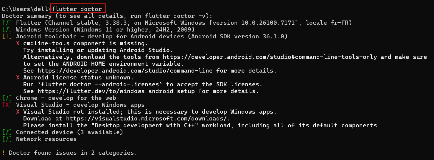 Capture d'écran de la sortie de flutter doctor
